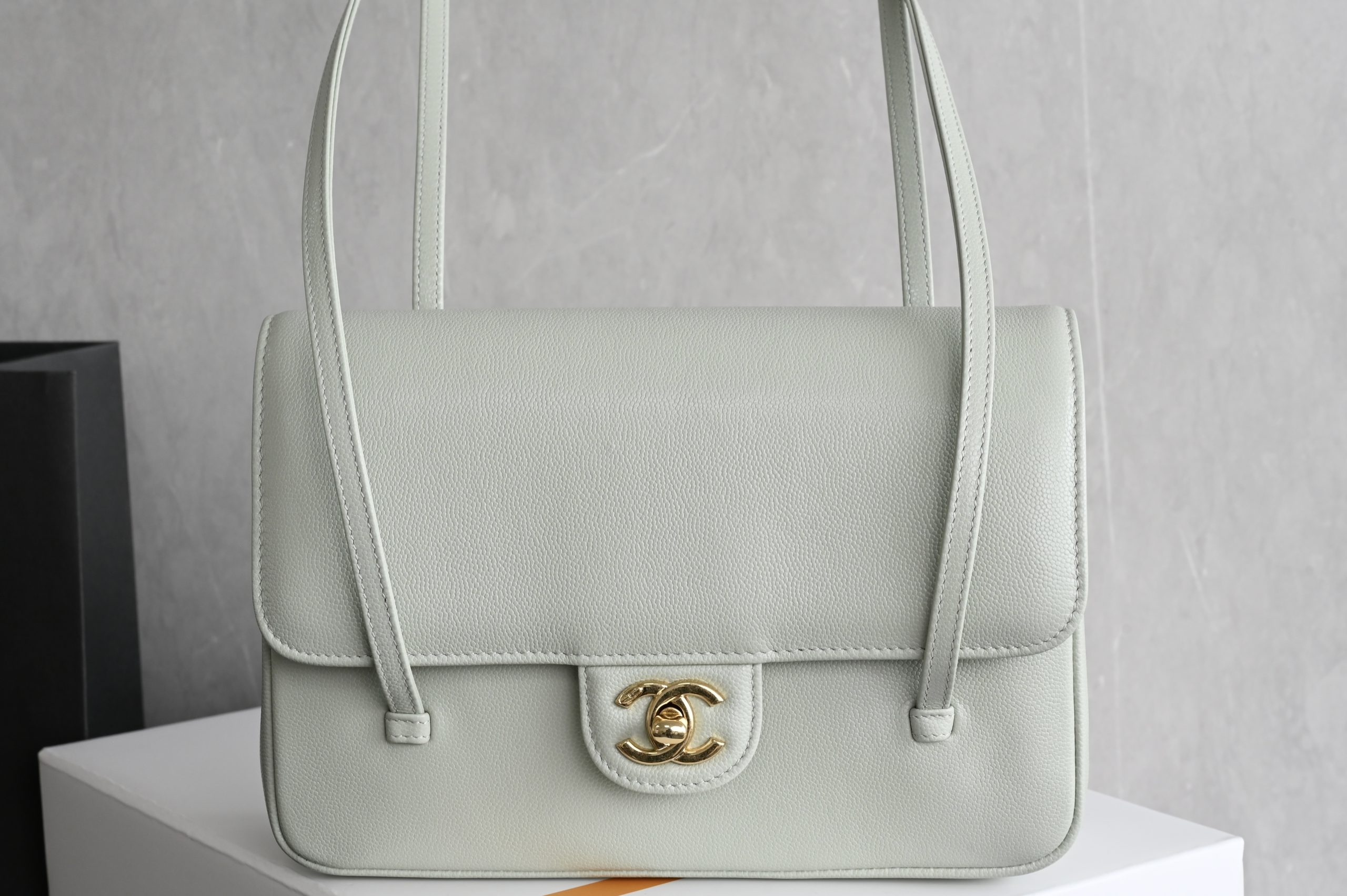 bolso chanel Preppy Coco 1 bolso chanel Preppy Coco