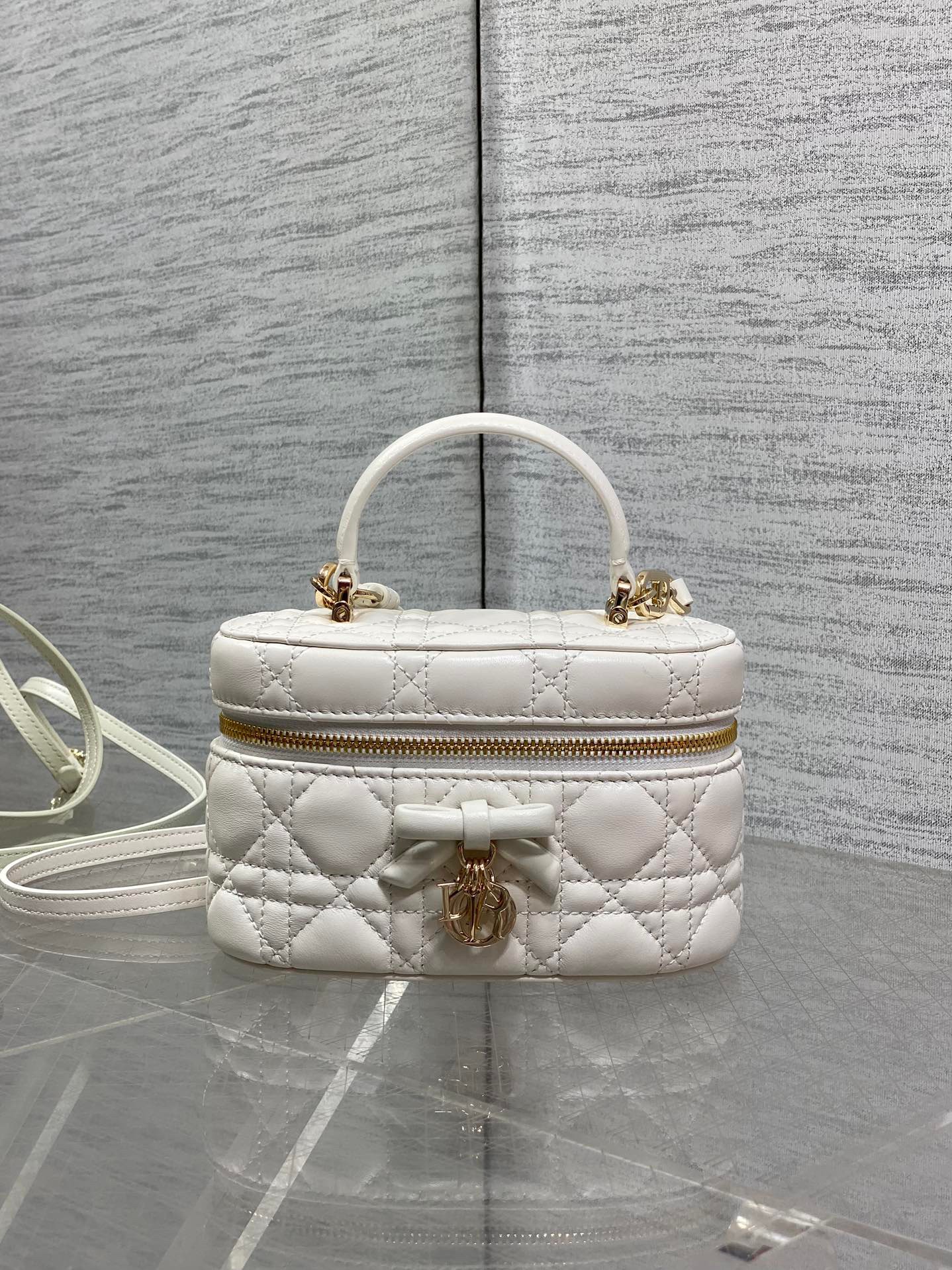 Bolso Diortravel Vanity