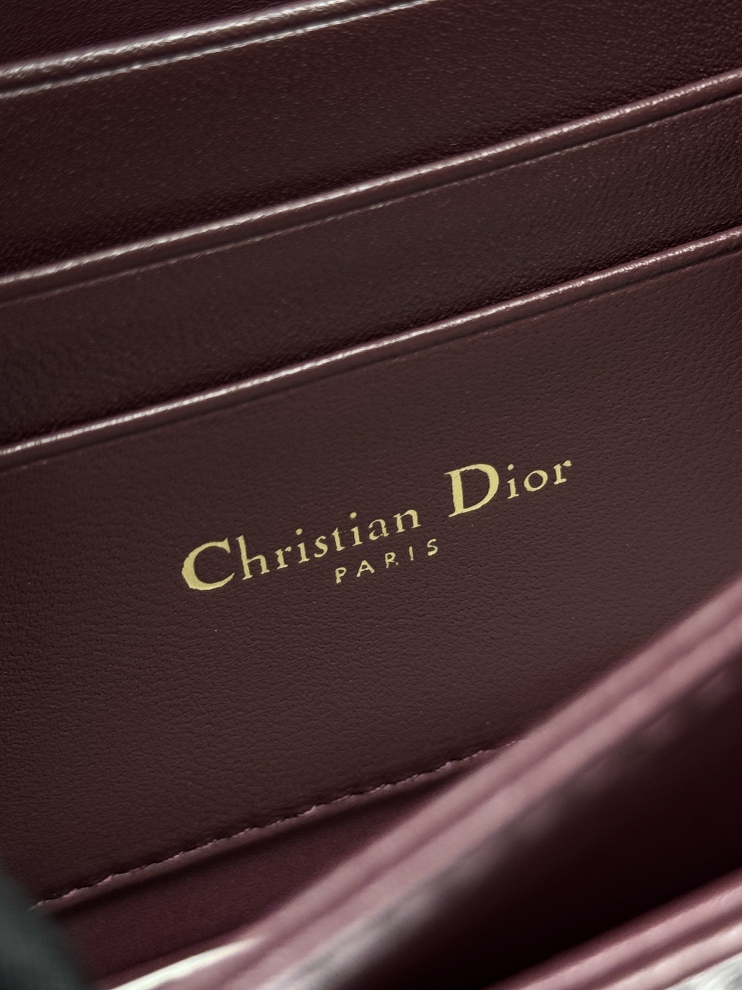 Bolso de mano Lady Dior WOC - Image 5