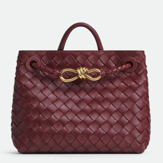 bolsos de lujo mano Bottega Veneta Andiamo Small Bag in Barolo Intrecciato Lambskin