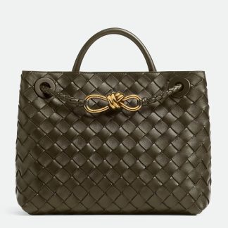 bolsos de lujo mano Bottega Veneta Andiamo Small Bag in Kaki Intrecciato Lambskin