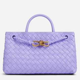 bolsos de lujo mano Bottega Veneta Andiamo Small East/West Bag in Lilas Intrecciato Lambskin