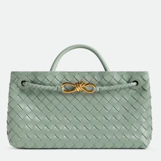 bolsos de lujo mano Bottega Veneta Andiamo Small East/West Bag in Sauge Intrecciato Lambskin