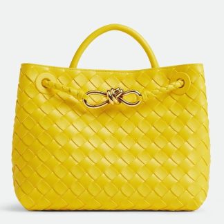 bolsos de lujo mano Bottega Veneta Andiamo Small Bag in Sulfur Intrecciato Lambskin